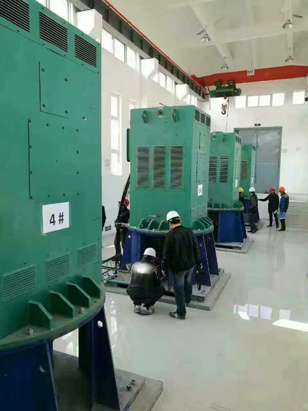 鼎城某污水处理厂使用我厂的立式高压电机安装现场